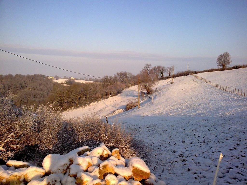 Domaine De Noyer Bed & Breakfast Saint-Christophe-en-Brionnais Room photo